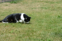 2018-07-28-0576