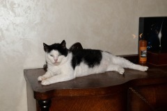 2019-08-23-2619