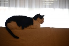 2019-09-18-2690