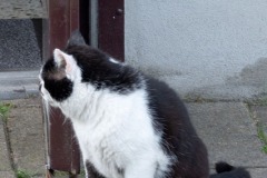 2019-05-31-2327