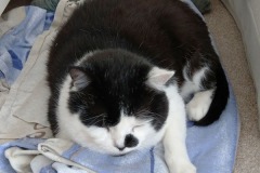 2019-07-11-0891