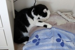 2019-08-15-0982