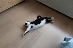 2019-09-23-1064