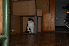2019-09-24-2728