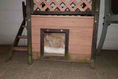2019-07-06-0877